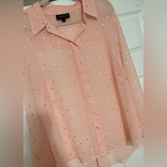Lane Bryant Sheet Button Down Blouse - Picture 3 of 3